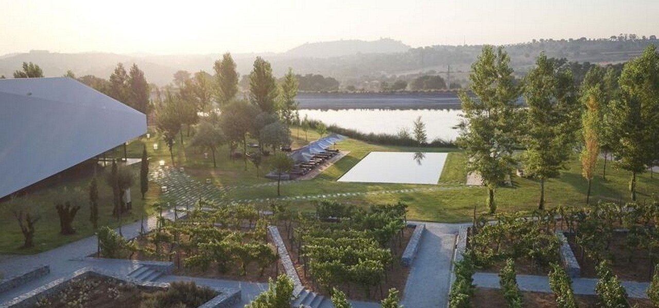 landscape l'and vineyards